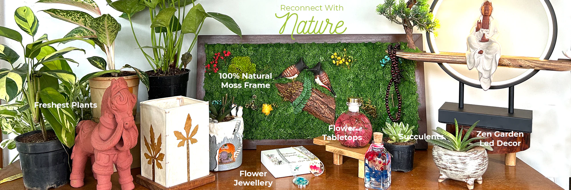 Bring Nature Into Your Home